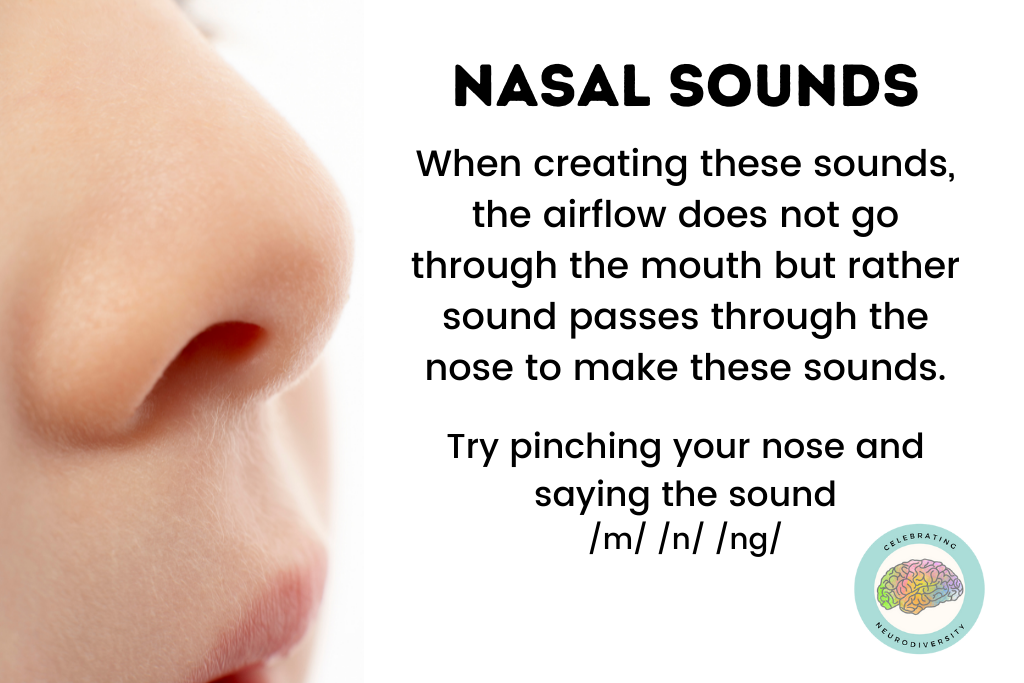 Nasual sounds- When creating these sounds, the airflow does not go through the mouth but rather sound passes through the nose to make these sounds.