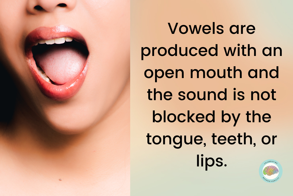 Vowels are produced with an open mouth and the sound is not blocked by the tongue, teeth, or lips